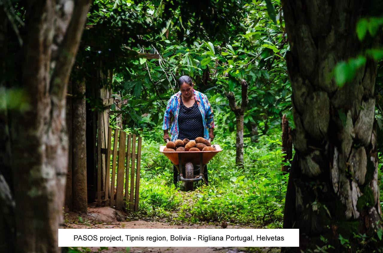PASOS project, Bolivia - woman bringing produce in wheelbarrow through forest