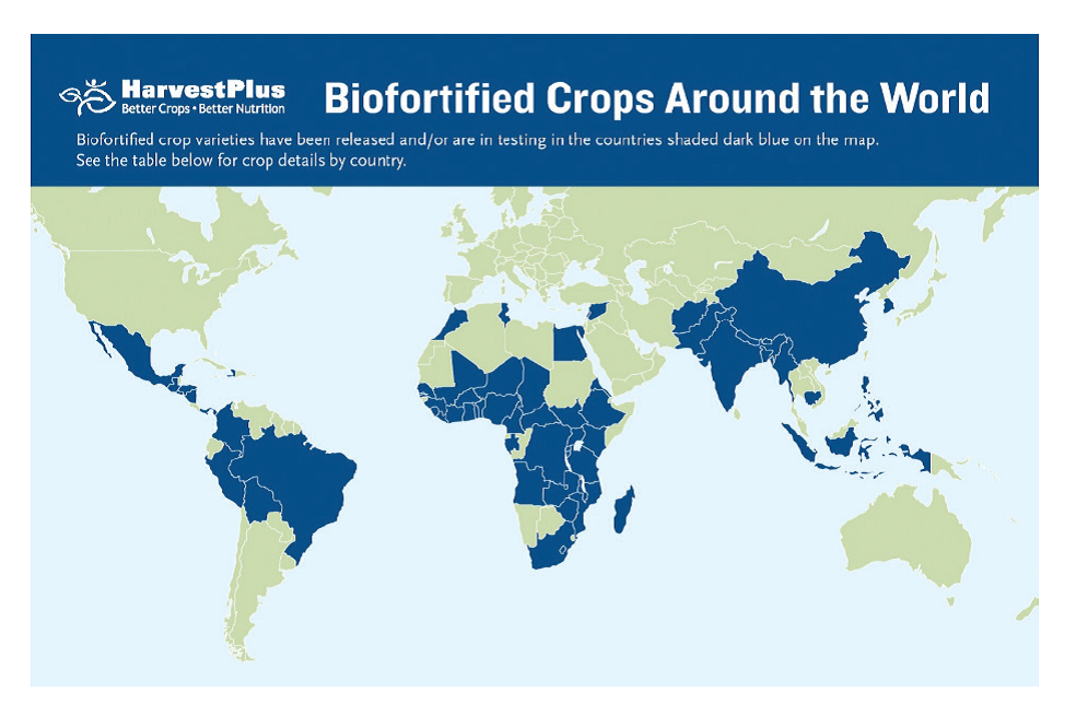 map of world, countries in blue use biofortified crops