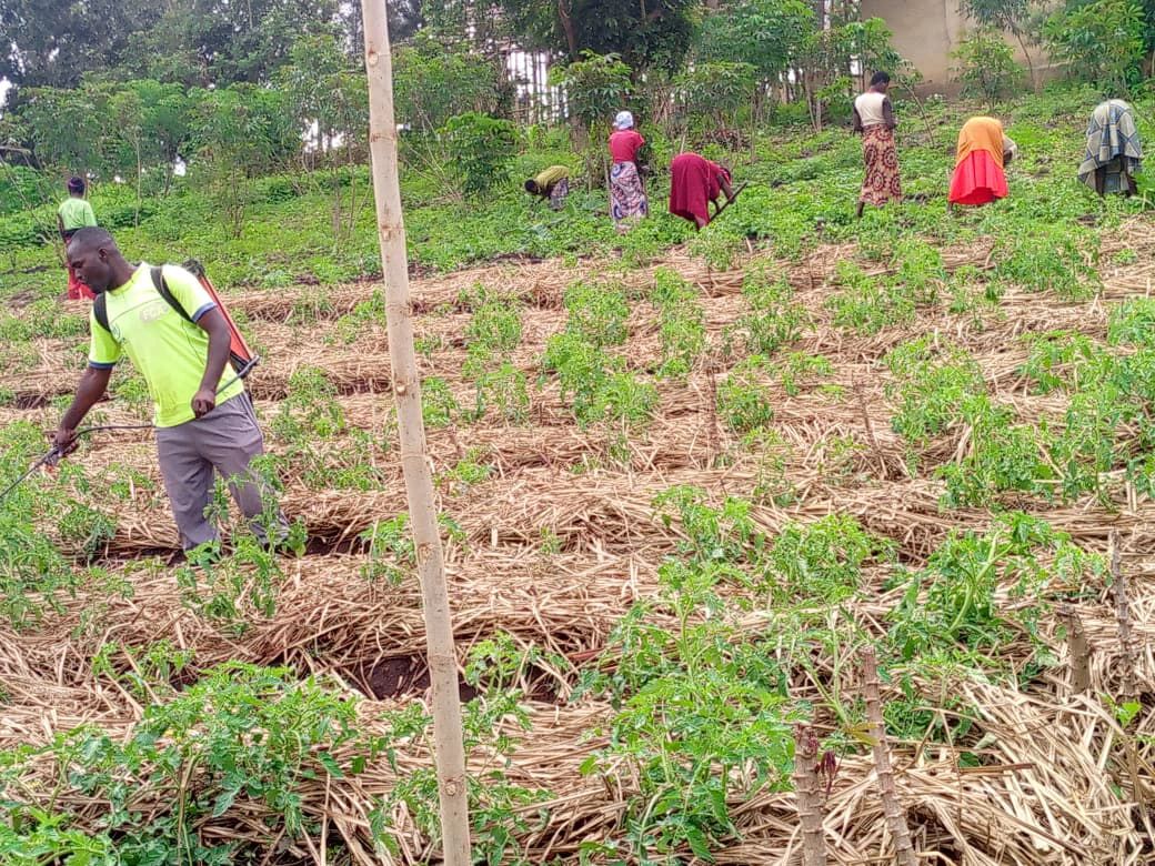 YAWORA group in field