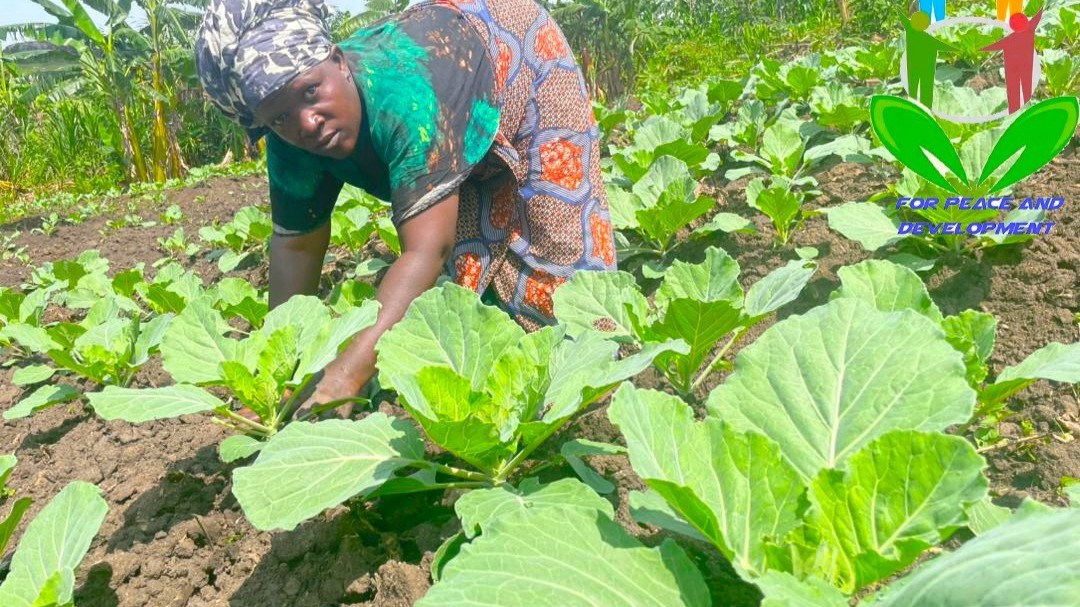 RESDA – woman in plot